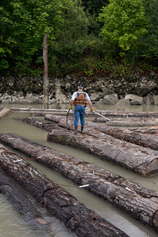 Log sorting