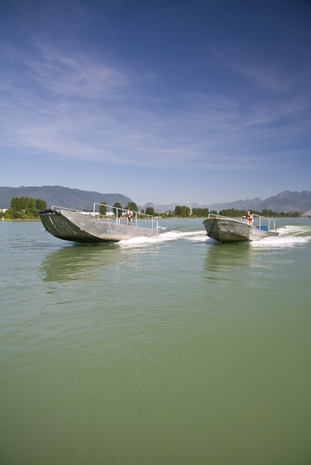 Herring Skiffs (2)