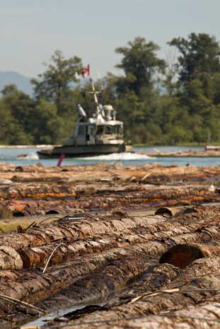 Log Storage and Handling