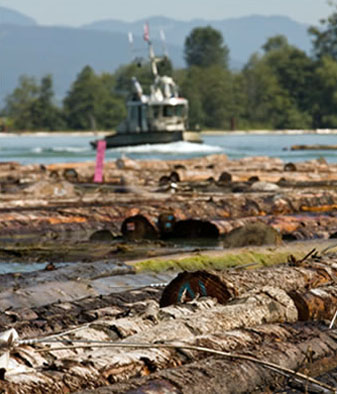 Log Handling