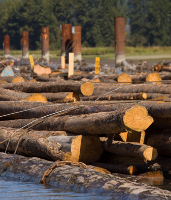 Log Storage and Handling