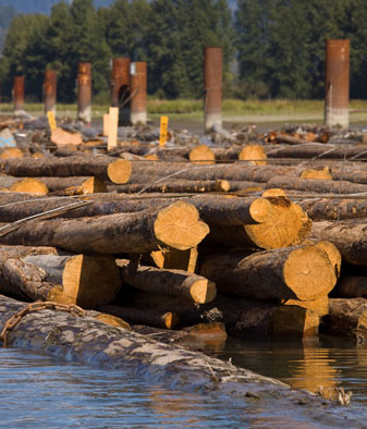 Log Storage and Handling